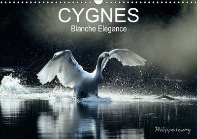Cygnes. Blanche Elegance: Les Plus Belles Photos de Cygnes Prises dans des Regions Sauvages de France et de Finlande.