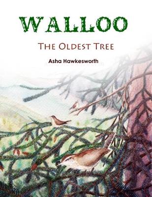 Walloo: The Oldest Tree