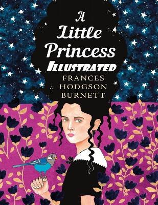 A Little Princess Illustrated
