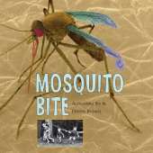 Mosquito Bite