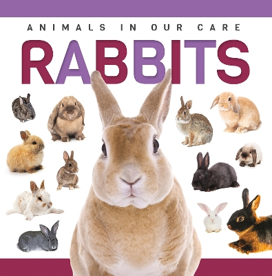 Rabbits