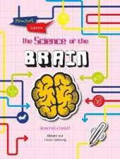 The Brain