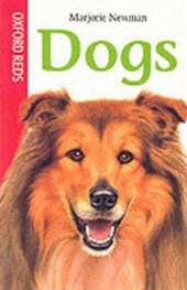 Dogs
