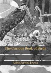 The Curious Book of Birds