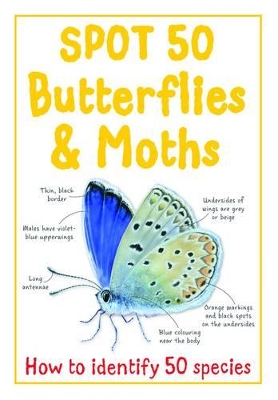 Spot 50 Butterflies & Moths