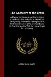 The Anatomy of the Brain: A Manual for Students and Practitioners of Medicine: The Brain of the Sheep (Ovis Aries) Being Selected for Description and Illustration Because of Its Availability and Its Practical Identity with the Human Brain for Laboratory