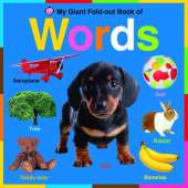 Words: My Giant Fold out Book