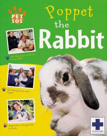Poppet The Rabbit