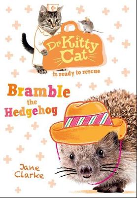 Dr KittyCat is ready to rescue: Bramble the Hedgehog