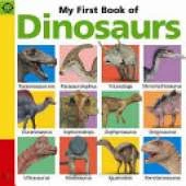 My First Book of Dinosaurs