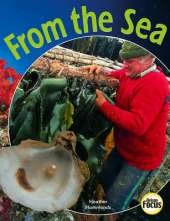 From the Sea