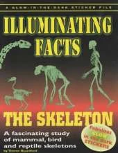 Skeleton: Fascinating Study of Mammal, Bird and Reptile Skeleton