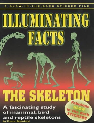 Skeleton: Fascinating Study of Mammal, Bird and Reptile Skeleton