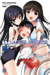 Accel World, Vol. 10 (Novel): Elements