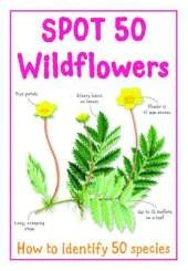 Spot 50 Wild Flowers