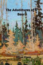 The Adventures of a Bear