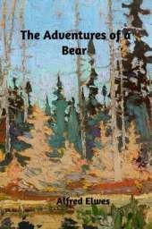 The Adventures of a Bear