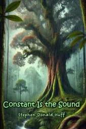 Constant is the Sound: Violence Redeeming: Collected Short Stories 2009 - 2011