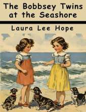 The Bobbsey Twins at the Seashore