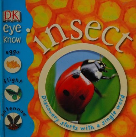 Insects