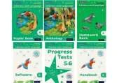 Read Write Inc Literacy and Language: Year 6 Easy Buy Pack