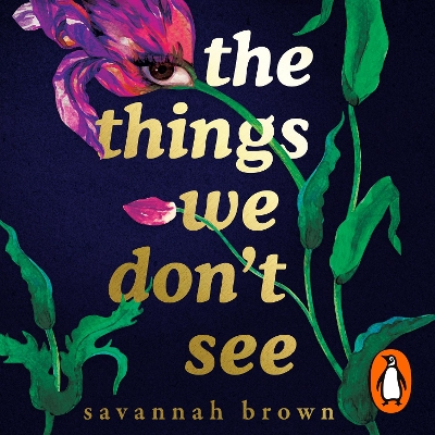 The Things We Don't See