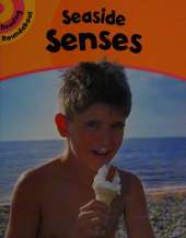 Reading Roundabout: Seaside Senses