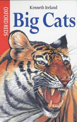 Big Cats