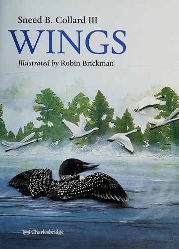 Wings