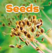 Seeds