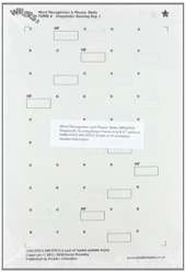 Word Recognition and Phonic Skills (WRaPS) Diagnostic Scoring Keys