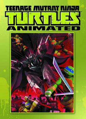 Teenage Mutant Ninja Turtles Animated Volume 1 Rise Of The Turtles