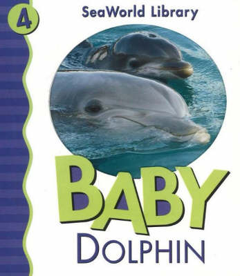 Baby Dolphin