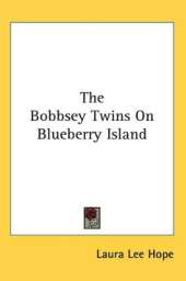 The Bobbsey Twins On Blueberry Island