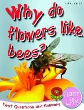 First Q&A - Why Do Flowers Like Bees?