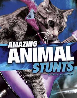 Wild Stunts Pack A of 3
