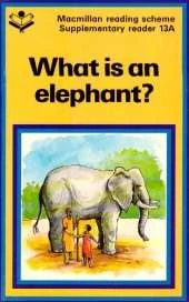 What is an Elephant?
