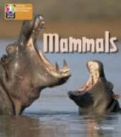 PYP L6 Mammals single