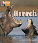 PYP L6 Mammals single
