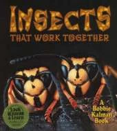 Insects That Work Together