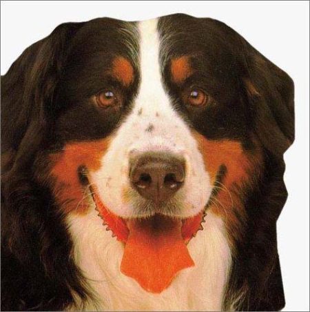Dogs and Puppies