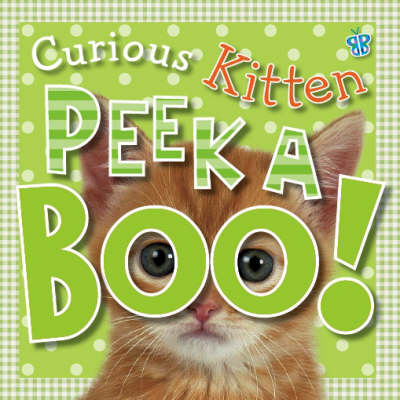 Curious Kitten