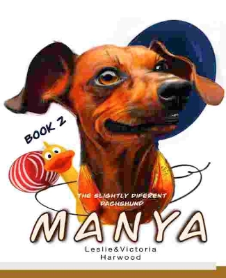Manya: The slightly different Dachshund