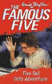 Five Fall Into Adventure: Book 9