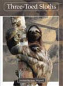 Springboard Lvl 29F: Three-Toed Sloths