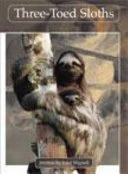 Springboard Lvl 29F: Three-Toed Sloths