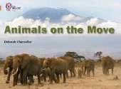Animals on the Move: Band 12/Copper