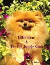 Little Bear and the Big Jungle Chair