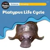 Science: Growing - Platypus Life Cycle