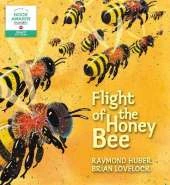 Flight of the Honey Bee
